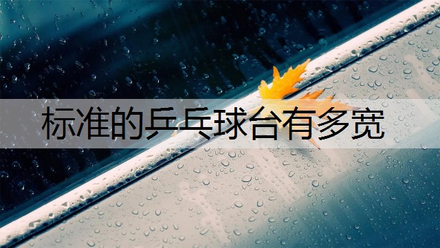 标准的乒乓球台有多宽