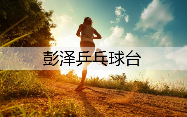 彭泽乒乓球台