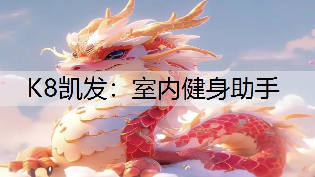 K8凯发：室内健身助手