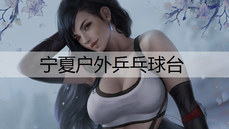 宁夏户外乒乓球台