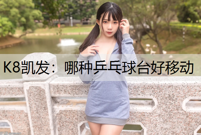 K8凯发：哪种乒乓球台好移动
