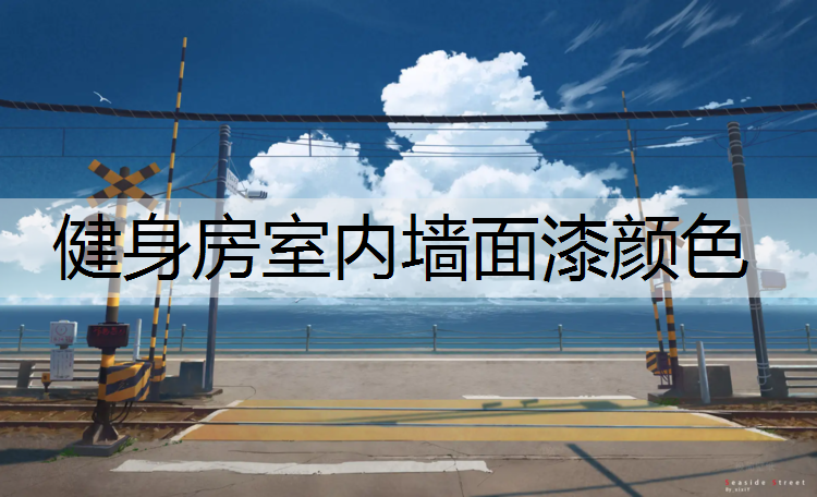 健身房室内墙面漆颜色