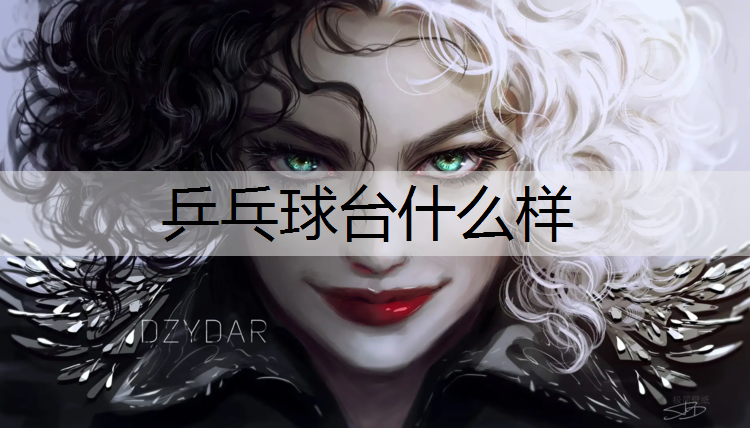 乒乓球台什么样