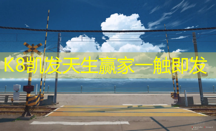 K8凯发：大班网球网球掷远反思