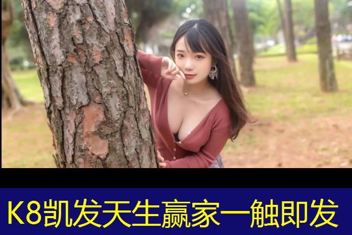 K8凯发国际官方网站：成武全塑型塑胶跑道价格