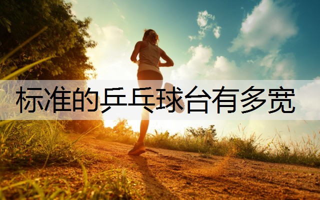 标准的乒乓球台有多宽