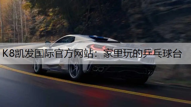 家里玩的乒乓球台