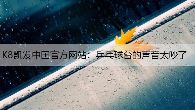 乒乓球台的声音太吵了