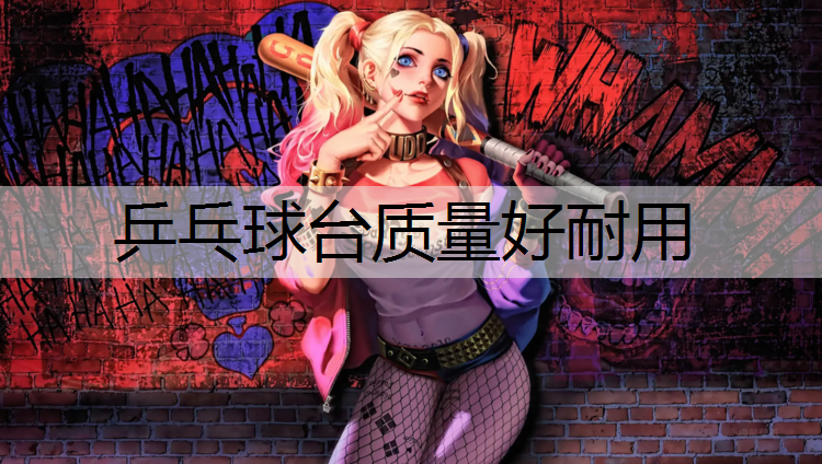 乒乓球台质量好耐用