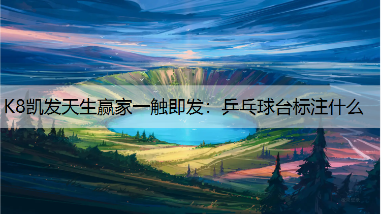乒乓球台标注什么