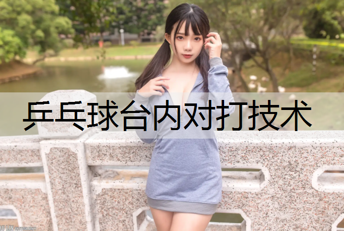乒乓球台内对打技术