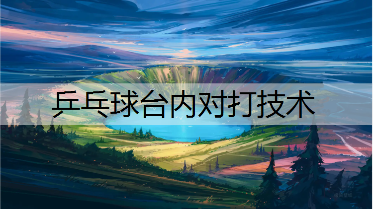 乒乓球台内对打技术