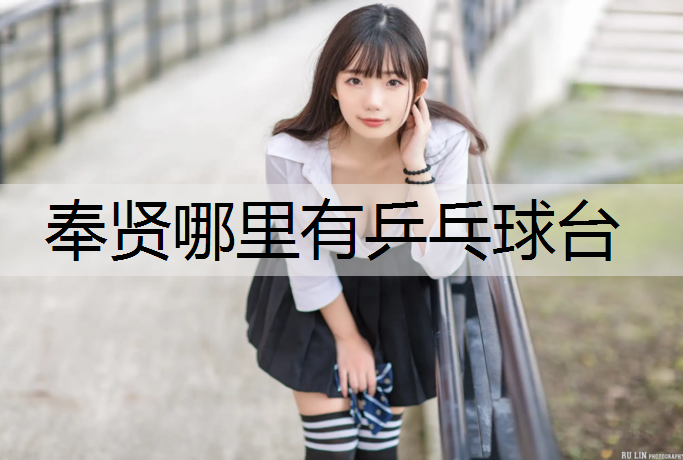 奉贤哪里有乒乓球台