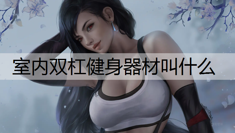 室内双杠健身器材叫什么