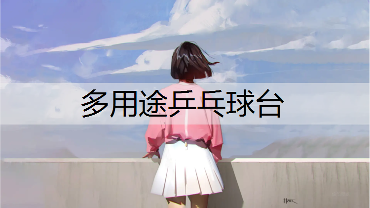 多用途乒乓球台