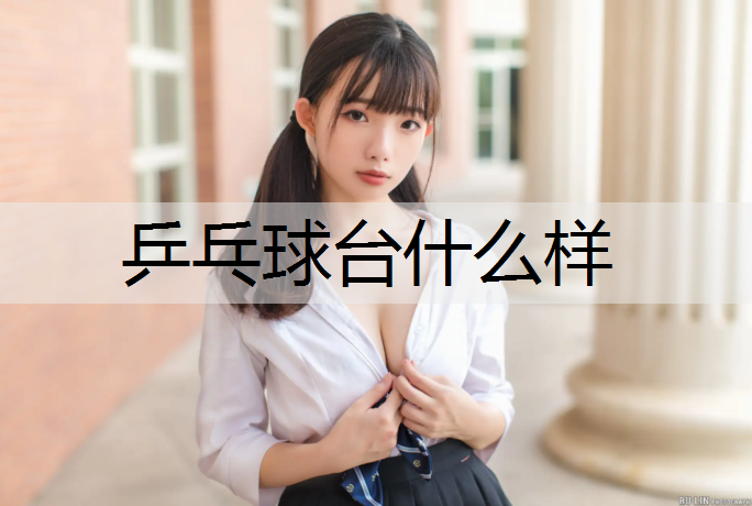 乒乓球台什么样