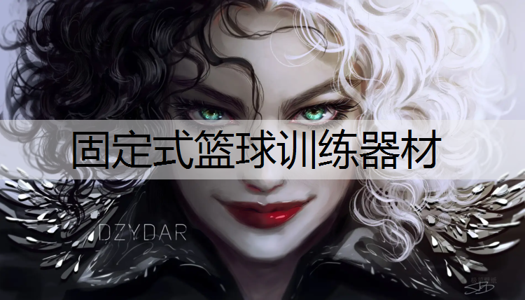 固定式篮球训练器材